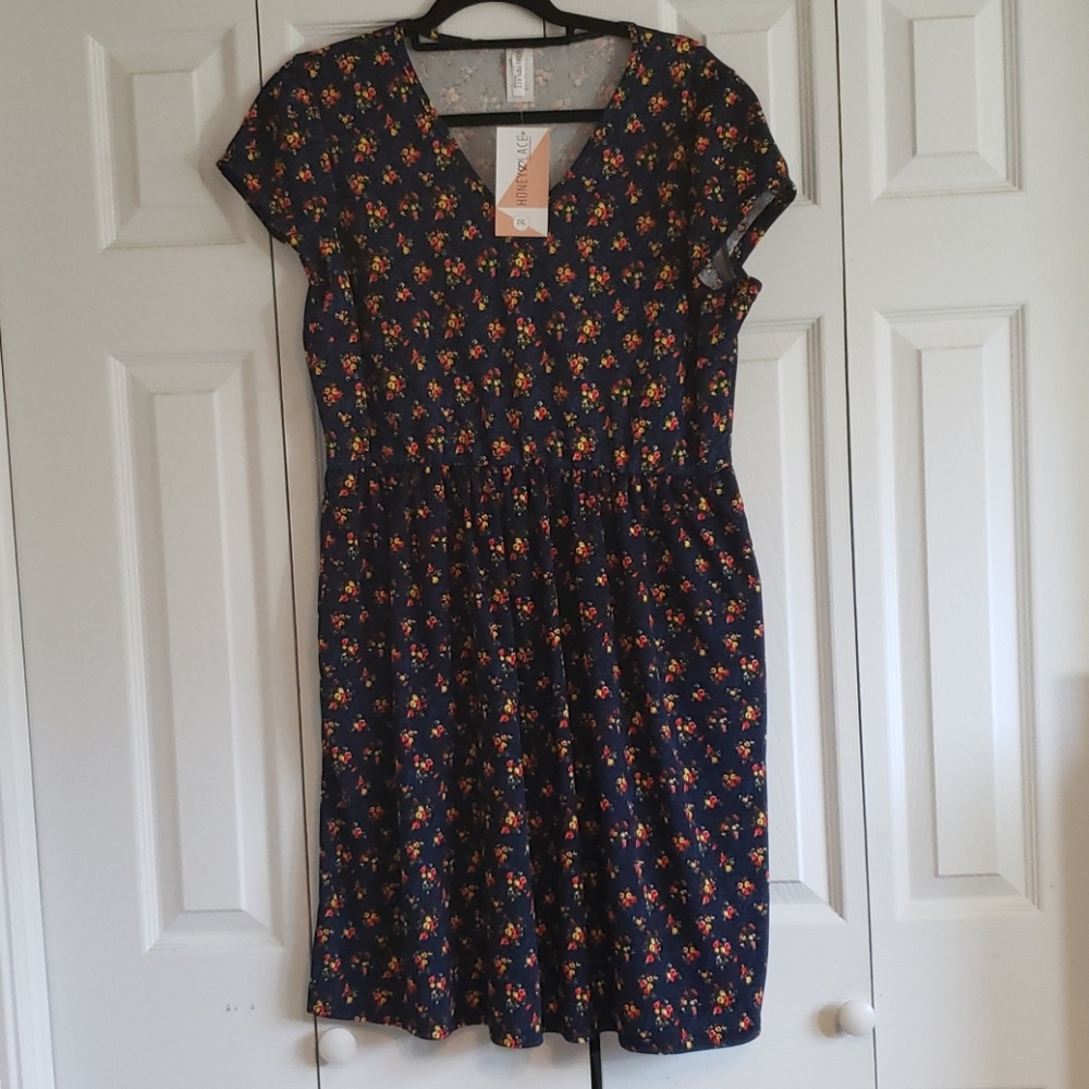 Honey and Lace Los Osos Dress with pockets 2XL NWT